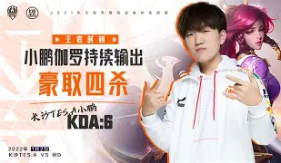 九游娱乐-挑战王者：绝杀获胜瞬间照耀球场的简单介绍